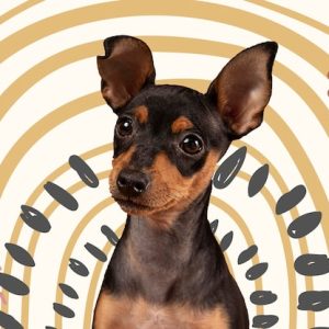 $3K Average Wall-Art Sales System