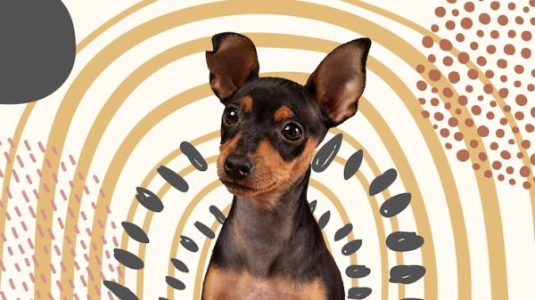 $3K Average Wall-Art Sales System