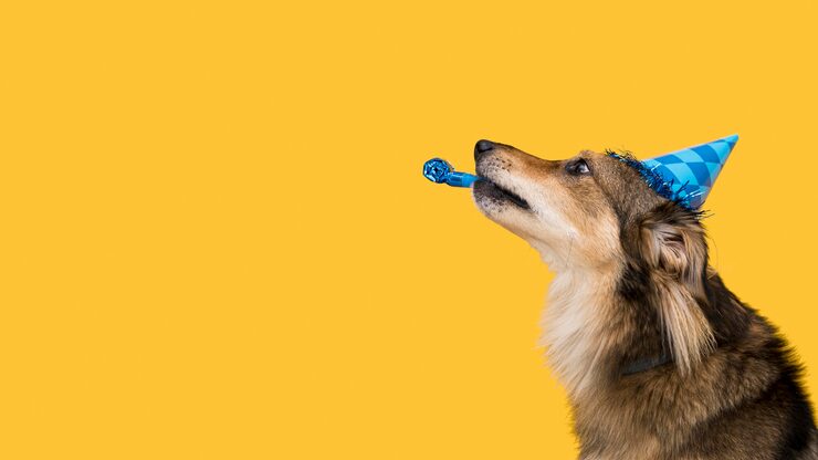 Black Friday Pet Event Formula